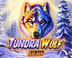 Fire Blaze: Tundra Wolf